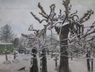 “In the bleak midwinter” - ‘Frank Knight’s tree’ – a weeping ash.